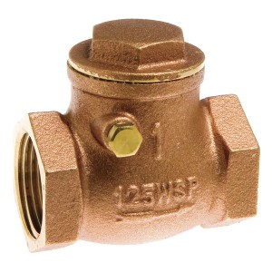 Swing Check Valve Florida